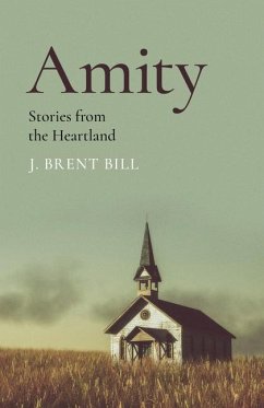 Cover Amity
