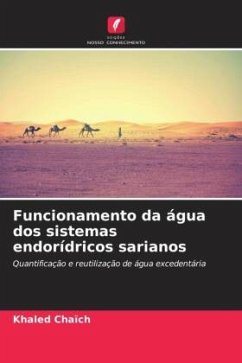 Funcionamento da água dos sistemas endorídricos sarianos - Chaïch, Khaled