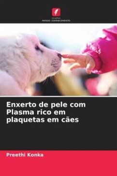 Enxerto de pele com Plasma rico em plaquetas em cães - Konka, Preethi