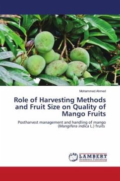Role of Harvesting Methods and Fruit Size on Quality of Mango Fruits