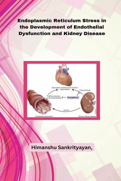 Endoplasmic Reticulum Stress in the Development of Endothelial Dysfunction and Kidney Disease - Sankrityayan, Himanshu