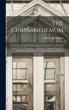 The Chrysanthemum - Herrington, Arthur