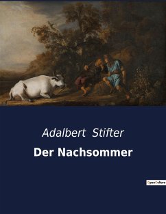 Der Nachsommer - Stifter, Adalbert