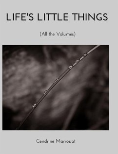 Life's Little Things - Marrouat, Cendrine