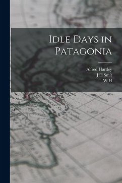 Cover Idle Days in Patagonia
