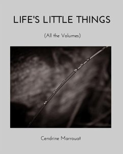 Life's Little Things - Marrouat, Cendrine
