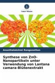 Synthese von ZnO-Nanopartikeln unter Verwendung von Lantana camara-Blütenextrakt