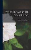 Wild Flowers Of Colorado