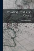 Los Aboríjenes De Chile