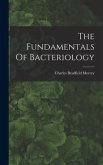 The Fundamentals Of Bacteriology