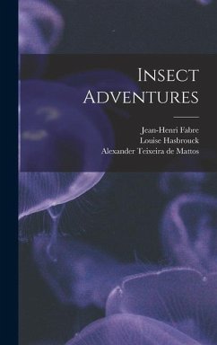 Insect Adventures - Zimm, Louise Hasbrouck