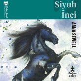 Siyah İnci (MP3-Download)