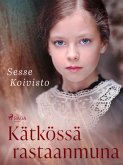 Kätkössä rastaanmuna (eBook, ePUB)