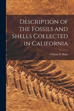 Description of the Fossils and Shells Collected in California - William P. (William Phipps), Blake