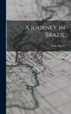 A Journey in Brazil