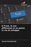 E-Trust, le sue differenze in un paese in via di sviluppo