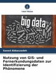 Nutzung von GIS- und Fernerkundungsdaten zur Identifizierung der Phänomene