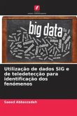 Utilização de dados SIG e de teledetecção para identificação dos fenómenos