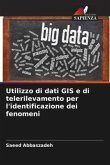 Utilizzo di dati GIS e di telerilevamento per l'identificazione dei fenomeni