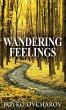 Wandering Feelings - Bild 1