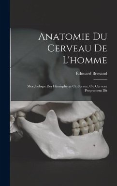 Cover Anatomie Du Cerveau De L'homme