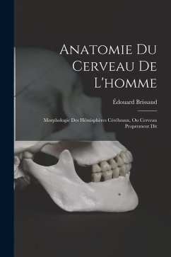 Anatomie Du Cerveau De L'homme: Morphologie Des Hémisphères Cérébraux, Ou Cerveau Proprement Dit - Brissaud, Édouard