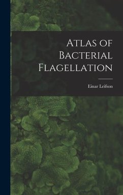 Atlas of Bacterial Flagellation - Leifson, Einar