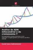 Análise do ADN mitocondrial e do cromossoma Y