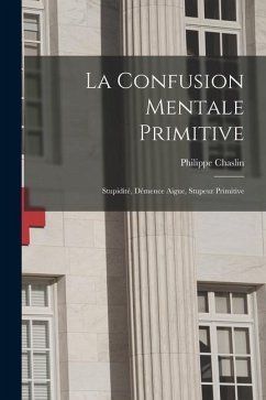 La Confusion Mentale Primitive: Stupidité, Démence Aigue, Stupeur Primitive - Chaslin, Philippe