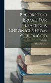 Brooks Too Broad For Leaping A Chronicle From Childhood