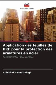 Application des feuilles de PRF pour la protection des armatures en acier - Singh, Abhishek Kumar