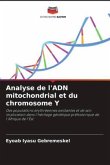 Analyse de l'ADN mitochondrial et du chromosome Y