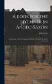 A Book for the Beginner in Anglo-Saxon: Comprising a Short Grammar and Some Selections From the Gospels