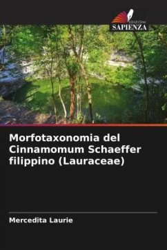 Morfotaxonomia del Cinnamomum Schaeffer filippino (Lauraceae) - Laurie, Mercedita