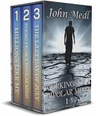 Workings of A Bipolar Mind 1-3 Omnibus: The Inner Mind of Someone With Bipolar Disorder (eBook, ePUB)