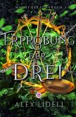 Erprobung der Drei Macht der Fünf Buch 3