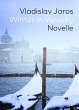 Winter in Venedig - Bild 1