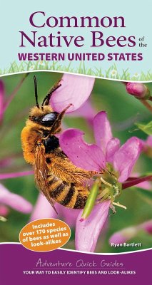 Common Native Bees of the Western United States - Bartlett, Ryan