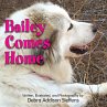 Bailey Comes Home - Bild 1