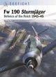 FW 190 Sturmjäger - Bild 1