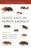 Velvet Ants of North America (eBook, ePUB)