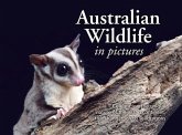 Australian Wildlife in Picture