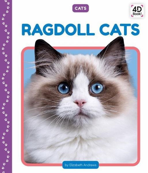 Ragdoll Cats Ragdoll Cats