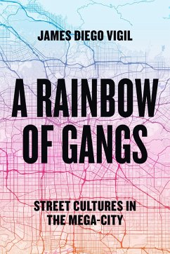 Cover A Rainbow of Gangs: Street Cultures in the Mega-City