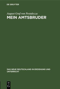 Mein Amtsbruder (eBook, PDF) - Pestalozza, August Graf von