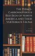 The Permo-Carbonniferous red Beds of... - Bild 1