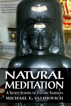 Natural Meditation - Salihovich, Michael E.