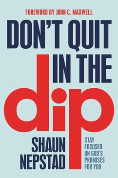 Don't Quit in the Dip - Nepstad, Shaun