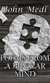 Poems from a Bipolar Mind: A Collection of Journal Entries Related to Mental Illness and Bipolar Disorder (Workings of a Bipolar Mind, #2) (eBook, ePUB)