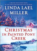 Christmas in Painted Pony Creek (eBook, ePUB)